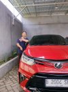 Lexus RX200t 2.0 Luxury SEDAN.jpeg