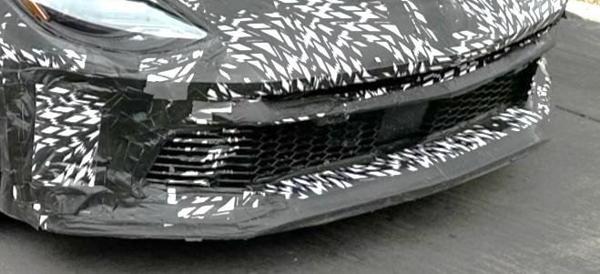 retetreeeeee-jpg.17204