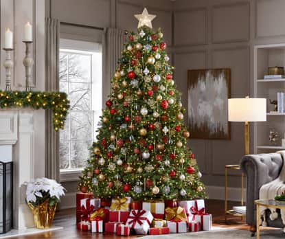 christmas-trees-2021-2468303-classic.jpg