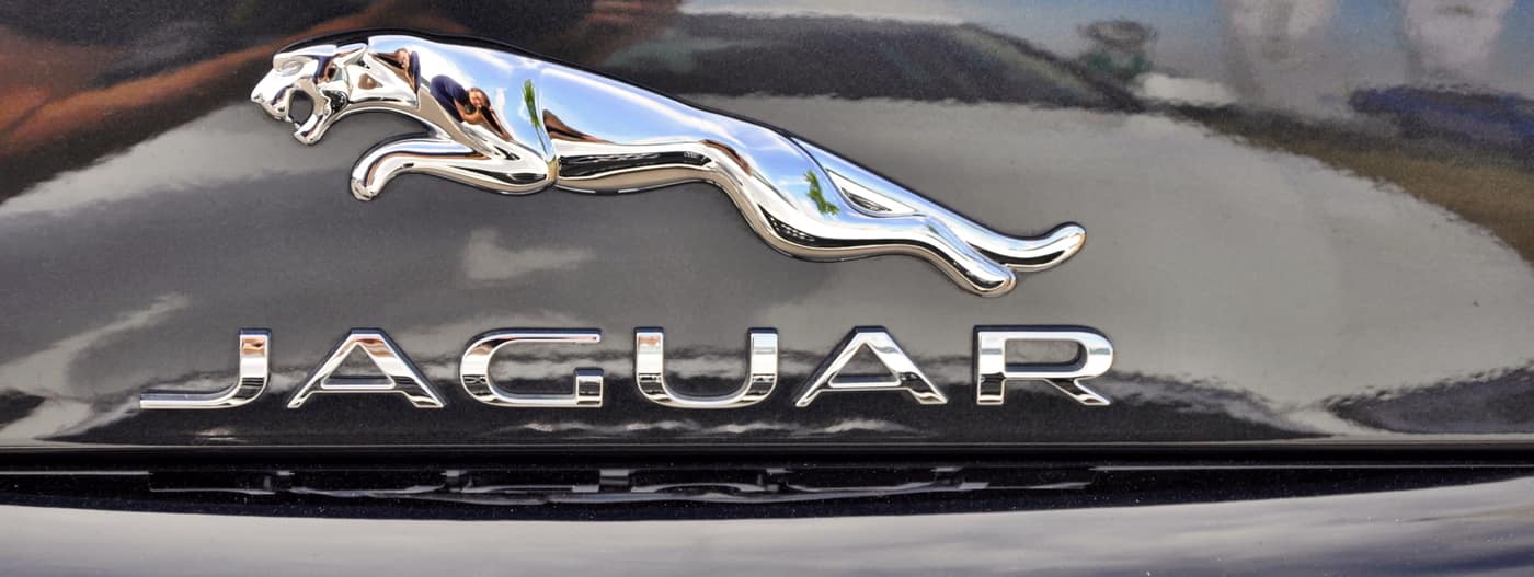 Jaguar-Symbol.jpg