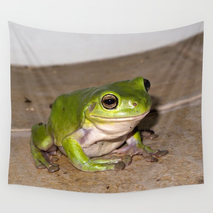 a-beautiful-green-tree-frog-sitting-on-tiles-tapestries.jpg