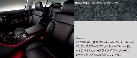 Lexus GS Passionate Black Interior